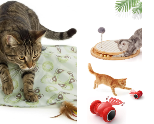 Automatic cat toys my cats don’t get bored of cover photo collage