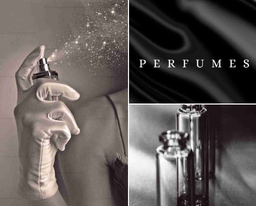 Best Scents That Turn Heads cover photo collage