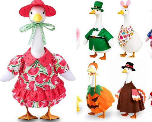 Adorable Summer Porch Goose Ensembles cover photo collage