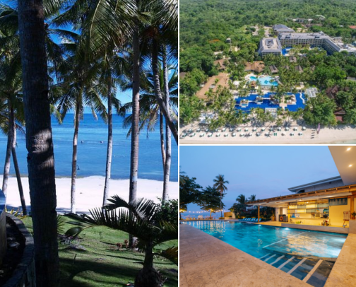 🌴 Bohol Travel Guide | Places, Food & Things to Do cover photo collage
