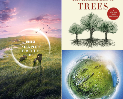 Books & Documentaries That Inspire My Nature Photography cover photo collage