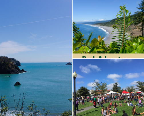 My Favorite Spots in Humboldt 🌲✨ cover photo collage