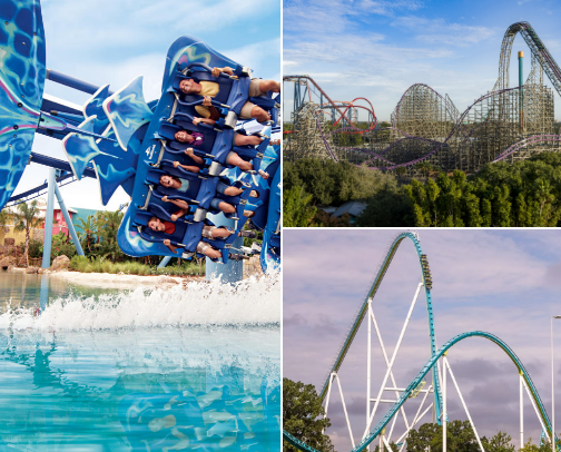 Roller coasters and more! cover photo collage