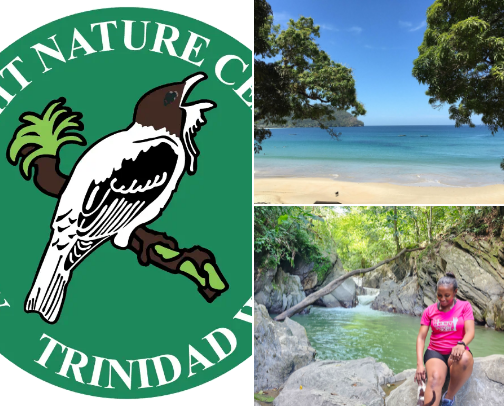 🇹🇹 Tranquil Escapes in Trinidad and Tobago 🌴 cover photo collage