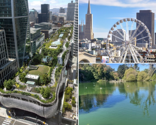 Explore SF like a native cover photo collage