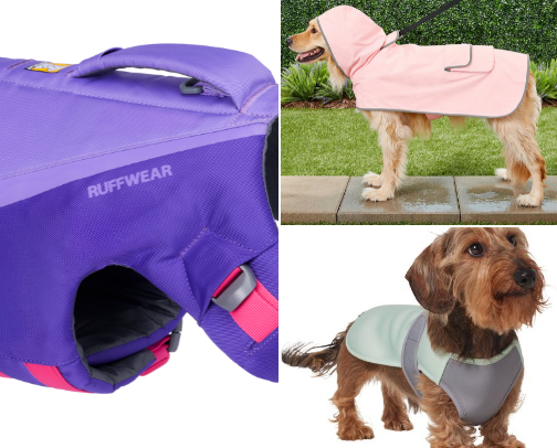 Summer must-haves for Dogs cover photo collage
