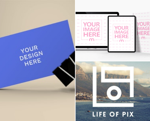 Creator Finds 🍁Images & Videos Paid / Free-to-Use cover photo collage