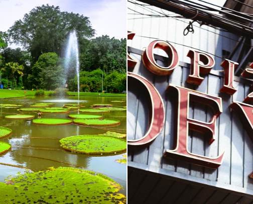 My top local recs cover photo collage