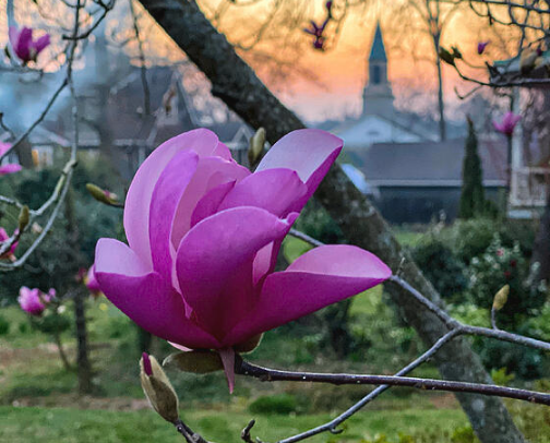 Photography Notebooks and Journals cover photo collage