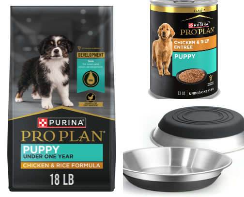 Tailbound's Top 10 Puppy Essentials cover photo collage