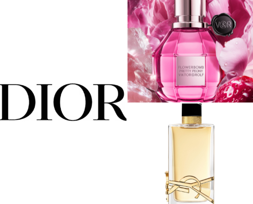 Beauty: Perfume Edition cover photo collage