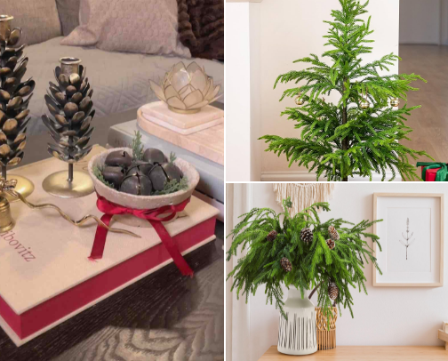 Christmas decor cover photo collage
