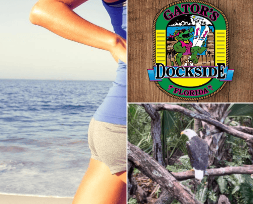 Places to go in Brevard County cover photo collage