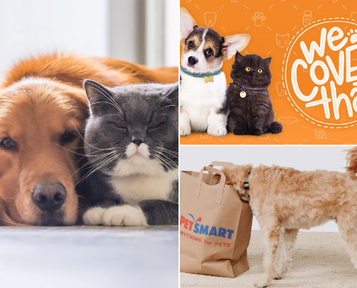 Pets cover photo collage
