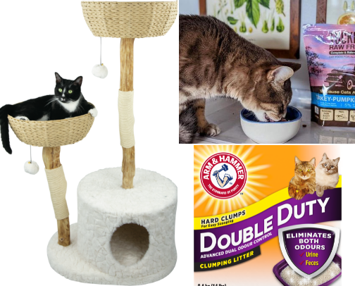 Cat survival kit cover photo collage