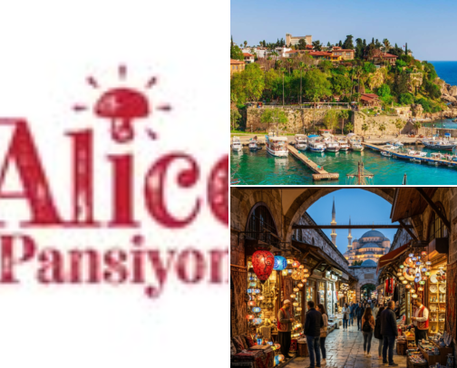 My Ultimate Turkey Obsession: Hidden Gems & Local Favorites cover photo collage