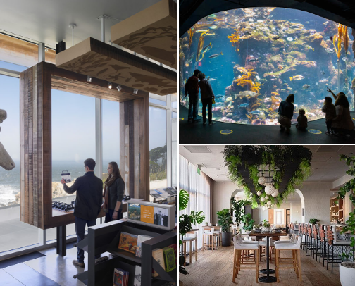 Best San Francisco Spots for Nature Lovers cover photo collage