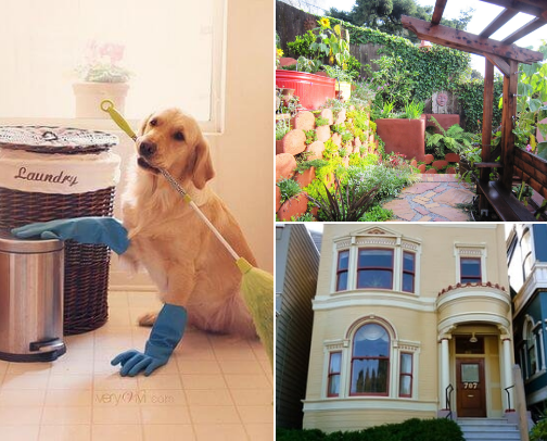 Need a hand? Call my fave SF locals! ⚙️🧼 cover photo collage