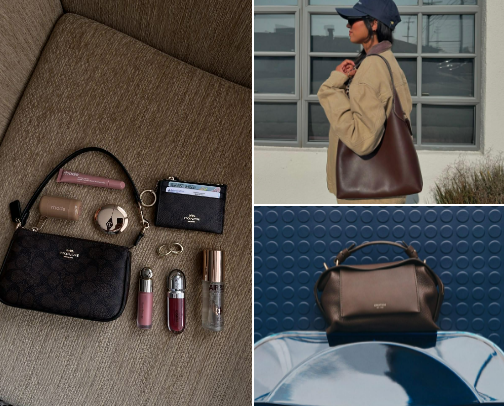 The ONLY Bags for all the Classic and Practical Ladies cover photo collage