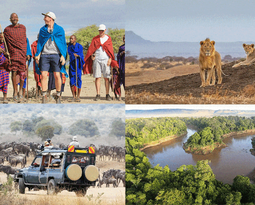 FOR CAMPING: ESSENTIALS AND PLACES cover photo collage