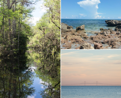 Home Decor Wall Art Photo Prints cover photo collage