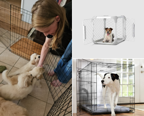 📋 Bringing a new puppy home? 🐶 Here's what you need. cover photo collage