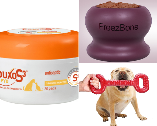 English Bulldog Necessities🐶🐾 cover photo collage