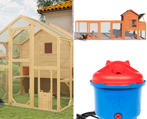 Chicken Coop for Beginners cover photo collage