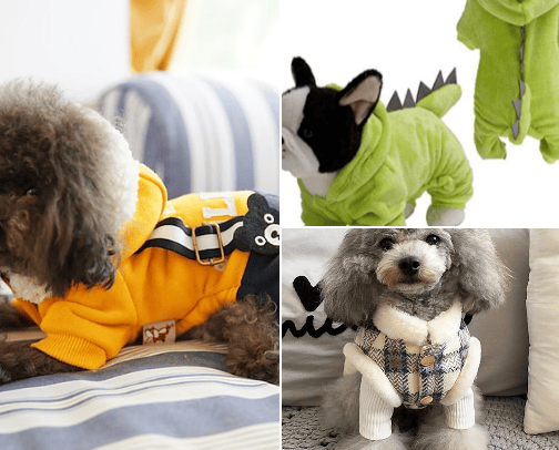 doggyyy clothesss cover photo collage