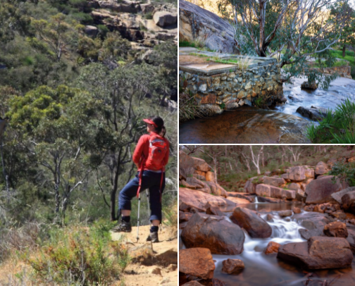 The Best Walks You Can’t Miss in Perth, Australia cover photo collage