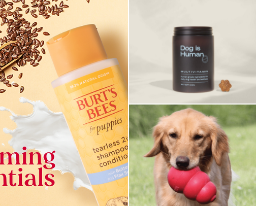 Furry friends cover photo collage