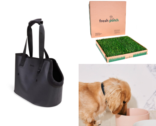 Puppy Essentials 🐶 cover photo collage