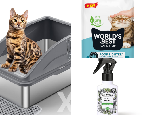 It’s raining CATS and DOGS cover photo collage