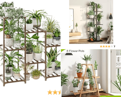 Easily distracted by Plants cover photo collage