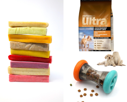 Dog Must-Haves | Mochi Approved 🐾 (Chicken Allergy) cover photo collage