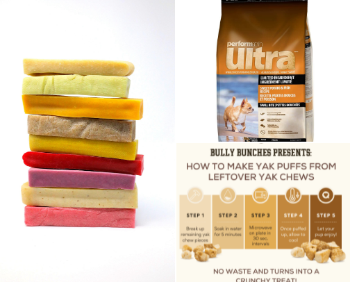 Dog Must-Haves | Mochi Approved 🐾 (Chicken Allergy) cover photo collage