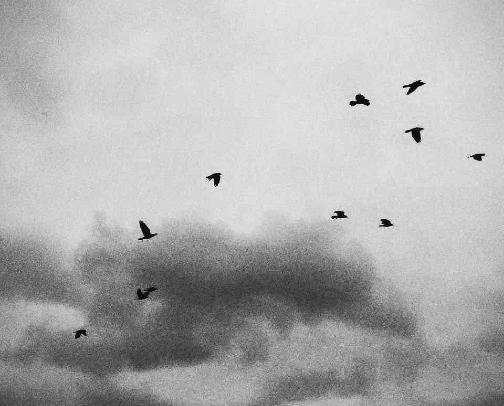 Favorite fall fits for 2025🍂 cover photo collage