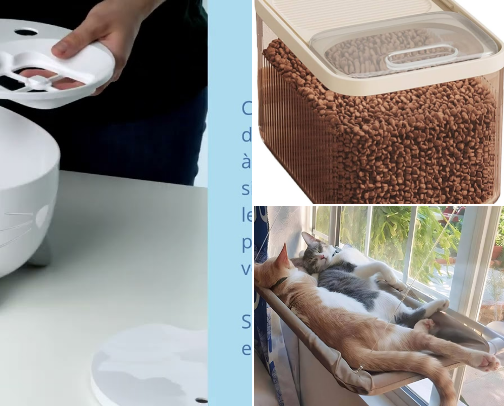 Cat Essentials 🐾 cover photo collage
