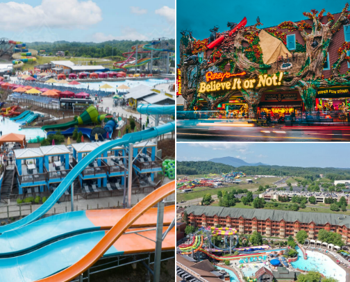 Super Cool Stuff in the Smokies cover photo collage