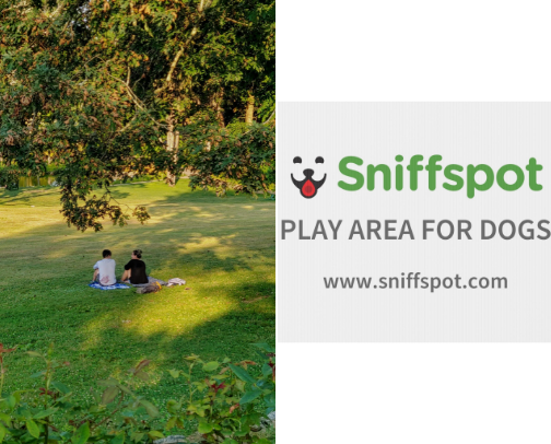 Things To Do in Connecticut cover photo collage