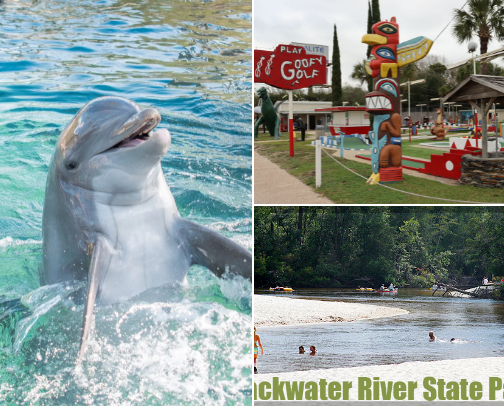 Places I Recommend In Niceville-Ft Walton Beach-Destin Area! cover photo collage