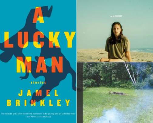 Best Books from Indie Presses cover photo collage