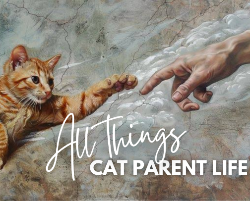 🐱 all things cat parent life cover photo collage