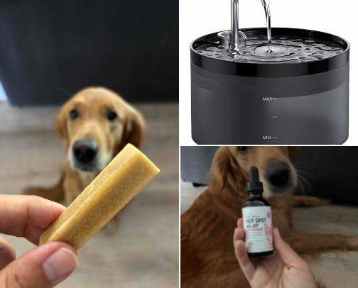 My Favorite Finds for a Happy, Healthy Pet cover photo collage