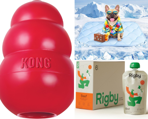 Only the best for my dog! cover photo collage