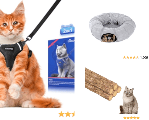 Pawed Pals cover photo collage