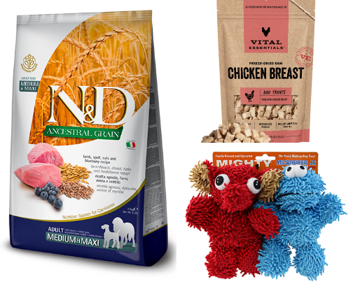 Dog Essentials cover photo collage