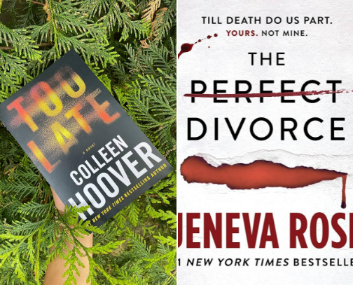 Book Indulgences🫶🏼 cover photo collage