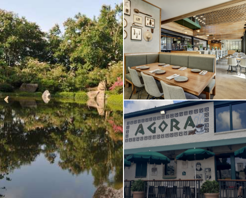 Places to go in Houston, TX cover photo collage