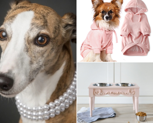 Cool Stuff For Your Spoiled Rotten Dog cover photo collage